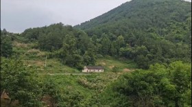 缙云山麓沙坪坝璧山交界占地75平宅基地 可重建 10万出售